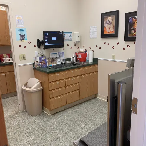 Greenbrier Veterinary Clinic Examination Room